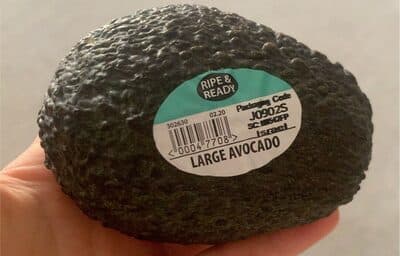 Large Ripe Avocado