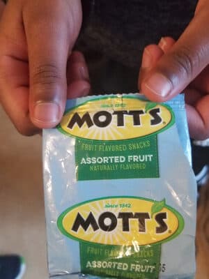 Variety Pack Fruit Flavored Snacks