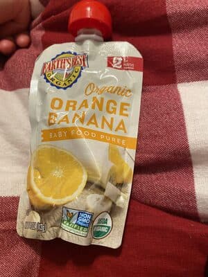 Organic organic baby food puree