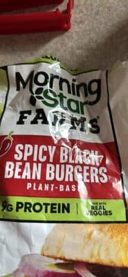 Spicy Black Bean Burgers
