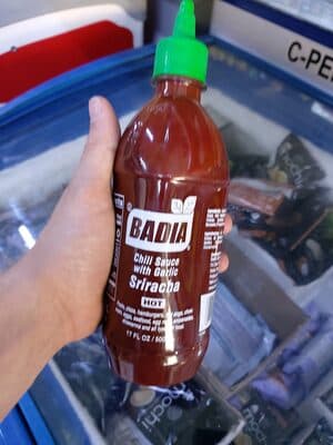 كتشب badia
