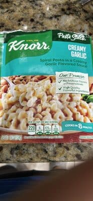 Spiral Pasta in a Creamy Garlic Flavored Sauce