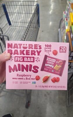 Fig Bar Minis Raspberry
