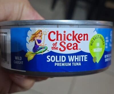 Solid White Albacore Tuna In Water