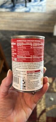 Homestyle Chicken Noodle Soup