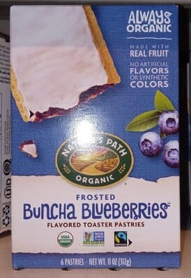 Frosted Buncha Blueberries Toaster Pastries