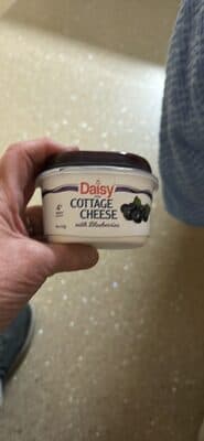 COTTAGE CHEESE with Blueberries