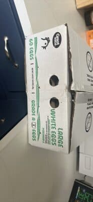 Large White Eggs