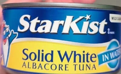 Solid White Albacore Tuna