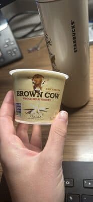 WHOLE MILK YOGURT