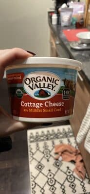 COTTAGE CHEESE