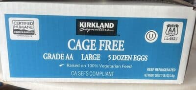 Egg