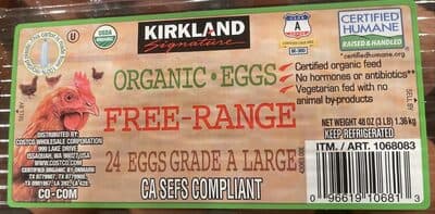 Organic Eggs Free-Range