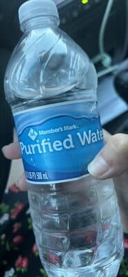 Purified Water