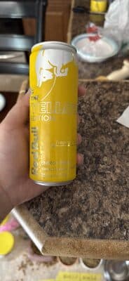 Red Bull The Yellow Edition Tropical Energy Drink
