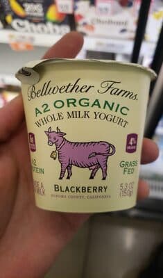 Blackberry A2 yogurt