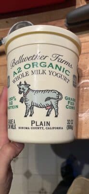 Whole Milk Yogurt Plain