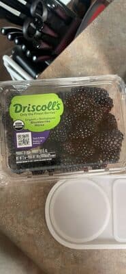 Organic Blackberries