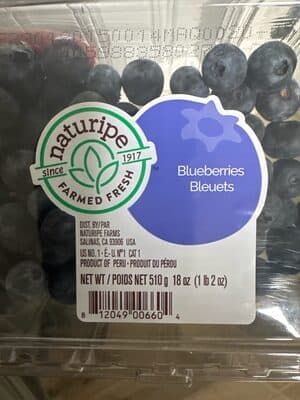 Blueberries