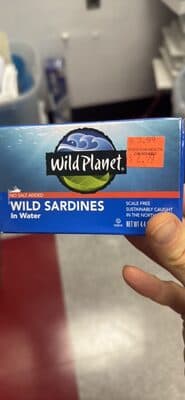 Wild Sardines