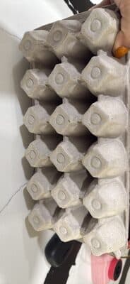 PASTURE RAISED 18 Large Eggs Grade A