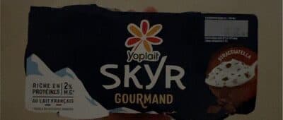 SKYR RECETTE GOURMANDE