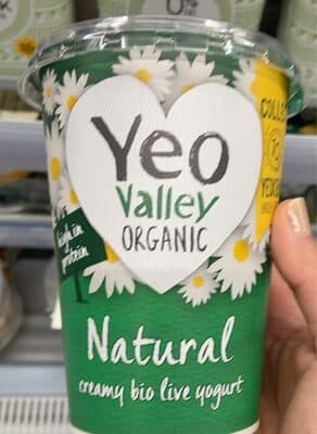 Yogurt