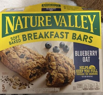 breakfast bars (blueberry oat)