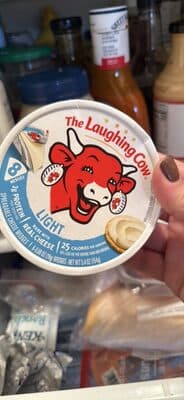 LIGHT SPREADABLE CHEESE