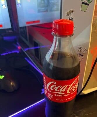 Coca Cola (16.9oz)