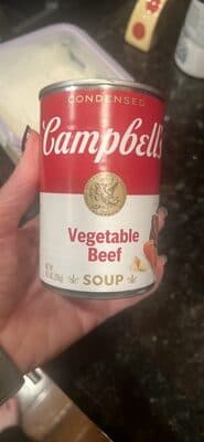 Vegetable Beef Soup