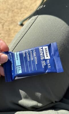 MINIS Blueberry