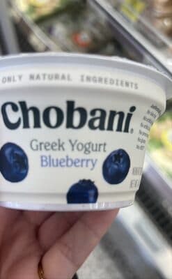 Greek Yogurt Blueberry