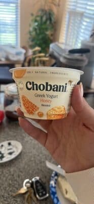 Greek Yogurt Honey blended