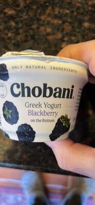 Greek Yogurt Blackberry on the Bottom