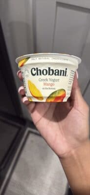 Greek Yogurt Mango on the Bottom